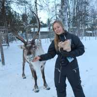 Feeding Reindeers near Kiruna, Lapland | Kate Baker