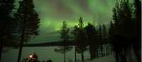 Sky lit up with the northern lights in Swedish Lapland | Ross Baker