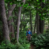 Hiking the Stockholm Archipelago trail | Roger Borgelid