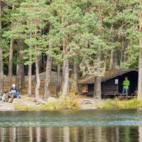 Soaking up the natural beauty of Tyresta National Park, Sweden