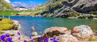 The incredible Great Saint Bernard pass