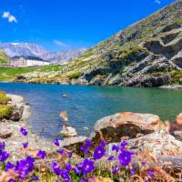 The incredible Great Saint Bernard pass