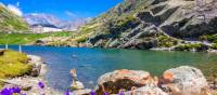 The incredible Great Saint Bernard pass