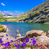 The incredible Great Saint Bernard pass