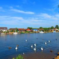 The Thames near Sunbury | John Millen