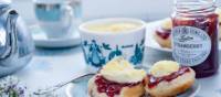 A traditional Cornish afternoon tea with jam and cream | David Griffen