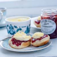 A traditional Cornish afternoon tea with jam and cream | David Griffen