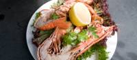 Delicious Cornish Seafood | Matt Jessop