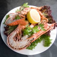 Delicious Cornish Seafood | Matt Jessop