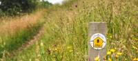 Waymarking on the Cotswold Way | Tom McShane