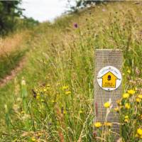 Waymarking on the Cotswold Way | Tom McShane