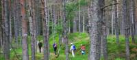 Hiking the Great Glen Way in Scotland | John Millen