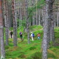 Hiking the Great Glen Way in Scotland | John Millen