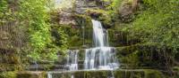 Waterfall at Swinner Gill above Keld in the Yorkshire Dales along the James Herriot Way
 | Pete Stuart