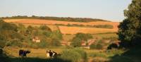 River Cuckmere