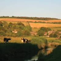 River Cuckmere