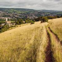 On the trail around Selsley Common, Cotswolds Way | Tom McShane