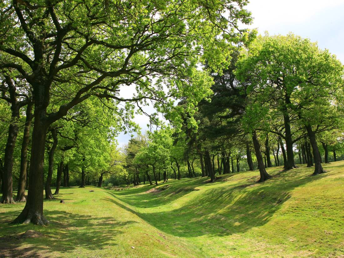 Looking along the course of the Antonine Wall |  <i>John Millen</i>