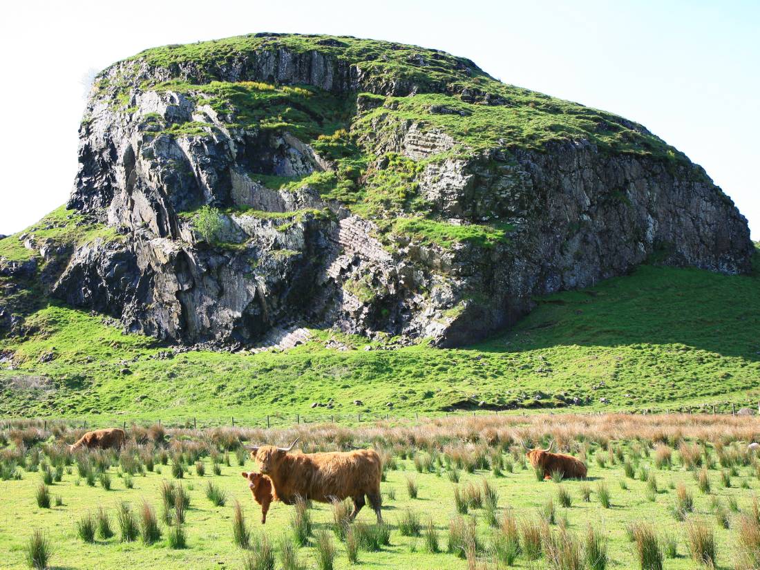 Dungalss Hill and Highland cattle |  <i>John Millen</i>