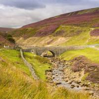 Surrender Bridge, in the Yorkshire Dales, during August | High Fliers