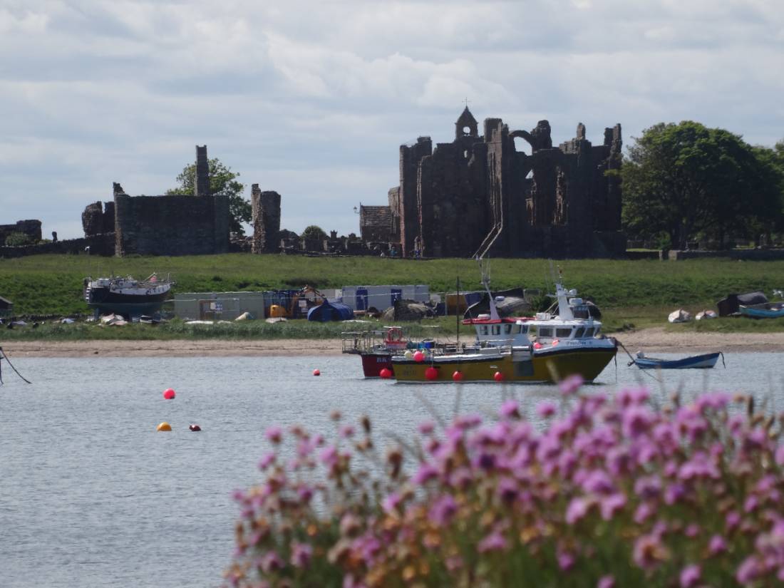 Lindisfarne Priory across the bay |  John Millen