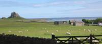 View across Lindisfarne | John Millen