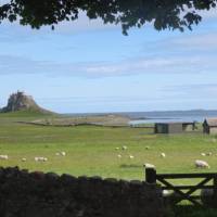 View across Lindisfarne | John Millen