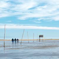 Walking the Pilgrim's Way to Holy Island | John Roberts