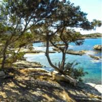 Mild weather for a Cyprus winter holiday, Akamas Peninsula | Antigoni Karakoulli