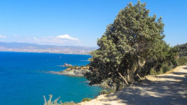 Walk along coastal paths on Cyprus' Akamas Peninsula | Antigoni Karakoulli