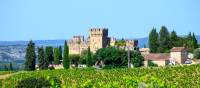 Vineyards of Chateauneuf du Pape appellation with grapes growing on soils with large rounded stones galets roules, lime stones, gravels, sand and clay, famous full body red wines, France | barmalini