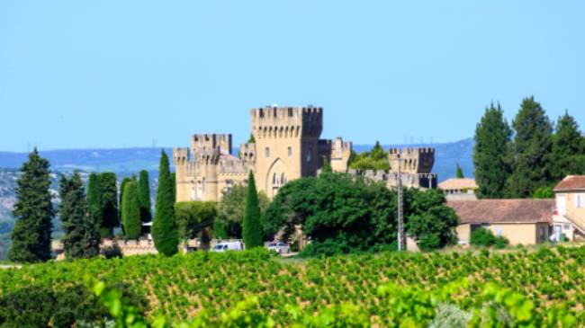 Vineyards of Chateauneuf du Pape appellation with grapes growing on soils with large rounded stones galets roules, lime stones, gravels, sand and clay, famous full body red wines, France | barmalini