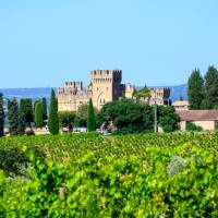 Vineyards of Chateauneuf du Pape appellation with grapes growing on soils with large rounded stones galets roules, lime stones, gravels, sand and clay, famous full body red wines, France | barmalini