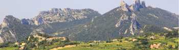 Vineyards against a backdrop of the Dentelles de Montmirail