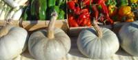 Local produce at a market in Provence