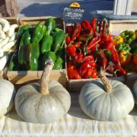 Local produce at a market in Provence