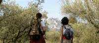 Walking out of a forest in the Alpilles