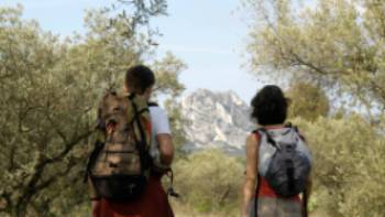 Walking out of a forest in the Alpilles