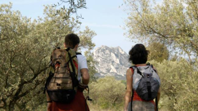 Walking out of a forest in the Alpilles