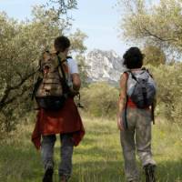 Walking out of a forest in the Alpilles