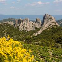 Dentelles de Mirail in Provence