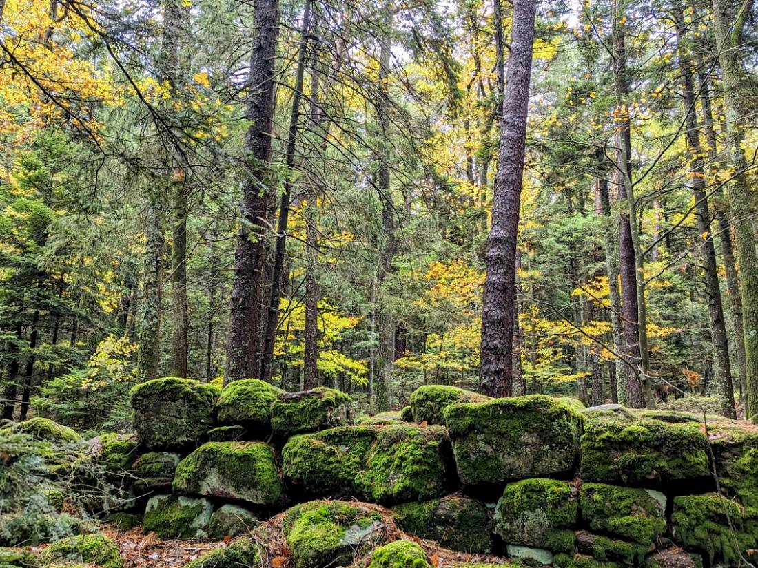 The pagan wall, Mont Sainte Odile is thought to date from the 7th century |  <i>Jon Millen</i>