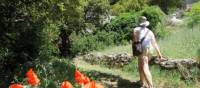 Walking in the Luberon region of French Provence | Walk Inn