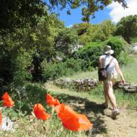 Walking in the Luberon region of French Provence | Walk Inn