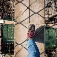 Don't look down! Carrick-a-Rede ropebridge on the Causeway Coast | Rob Durston