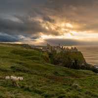 Dunluce Castle, Causeway Coast | Nareesh Nair