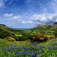 The beautiful Antrim Glens | Christopher Hill