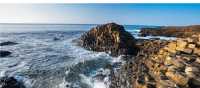 The Giant's Causeway, Northern Ireland | Chris Hill