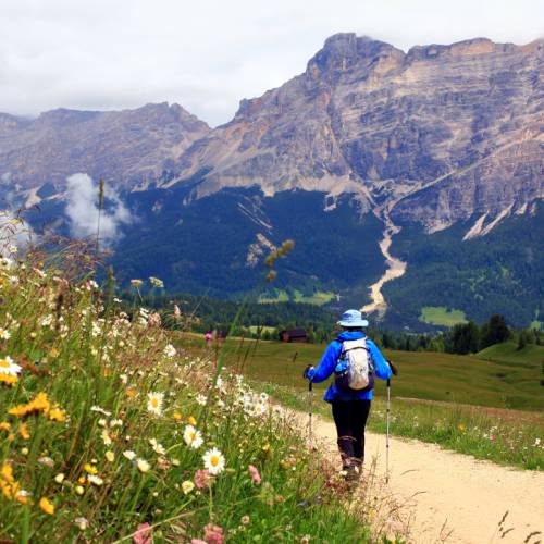 Alps top walking holidays