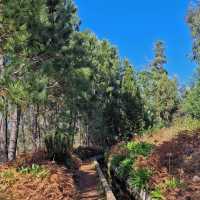 Levada Nova da Calheta | Peggy Dion